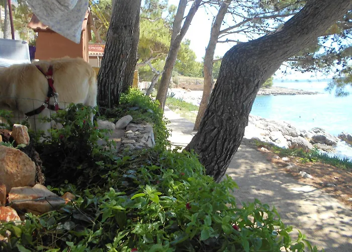 Apartments Dunja Hvar