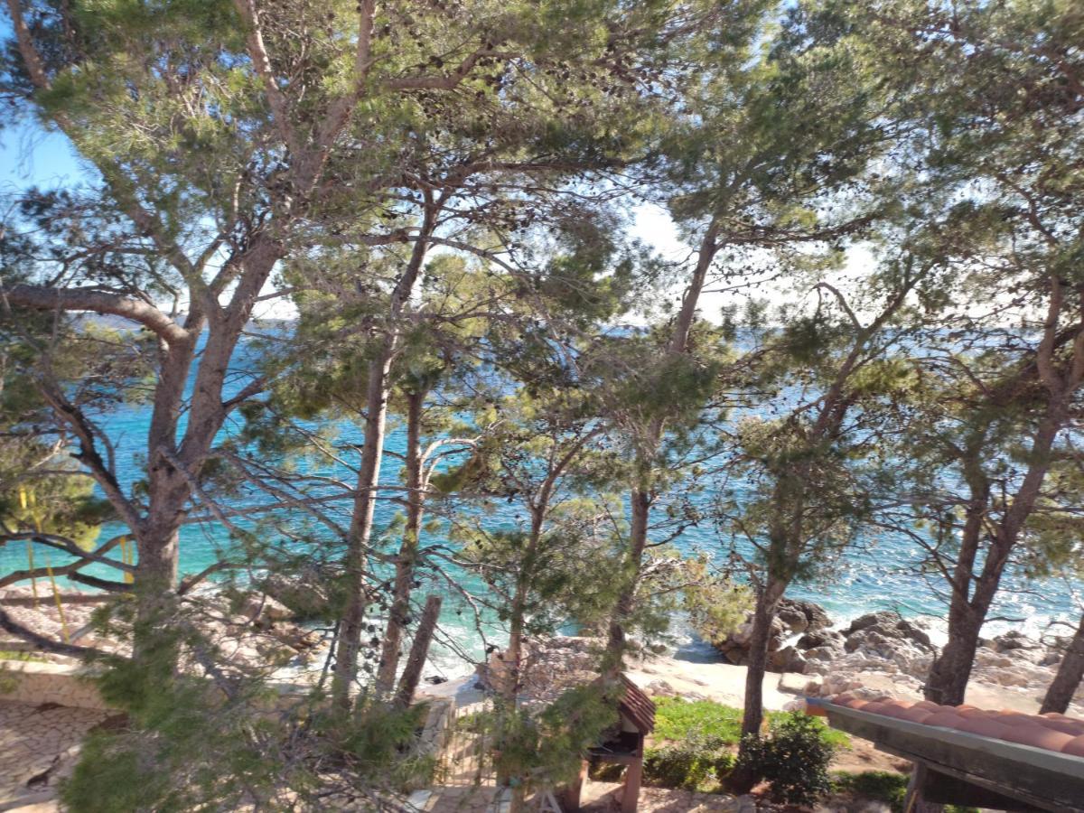 Dunja Hvar