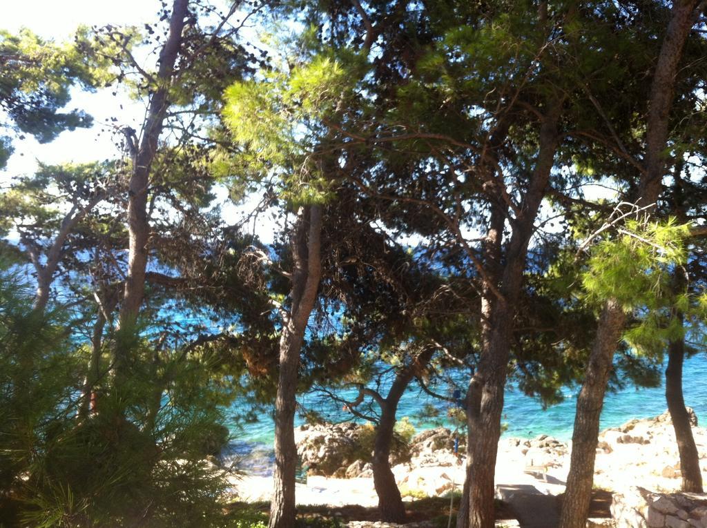 Dunja Hvar * Ivan Dolac