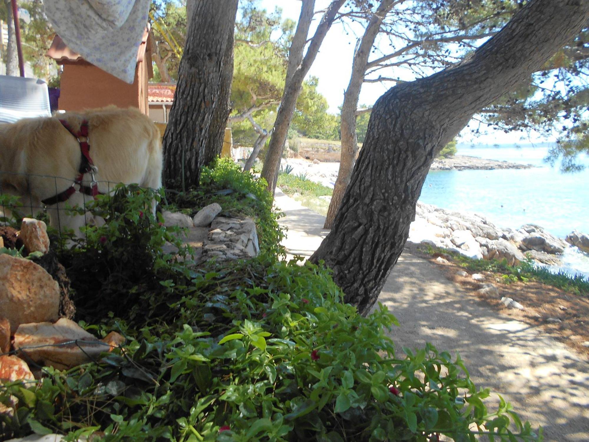 Apartment Dunja Hvar Ivan Dolac