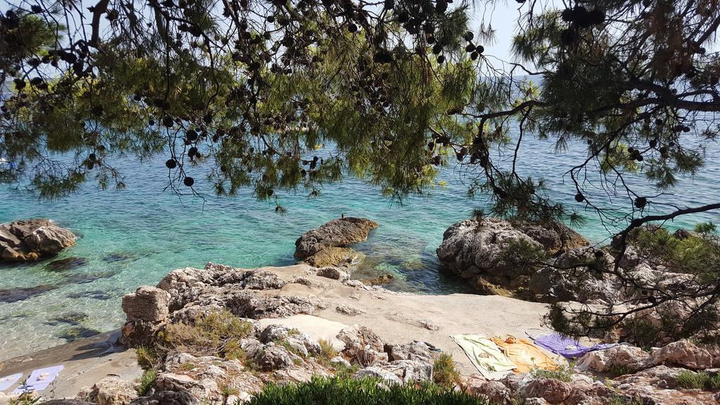 Dunja Hvar
