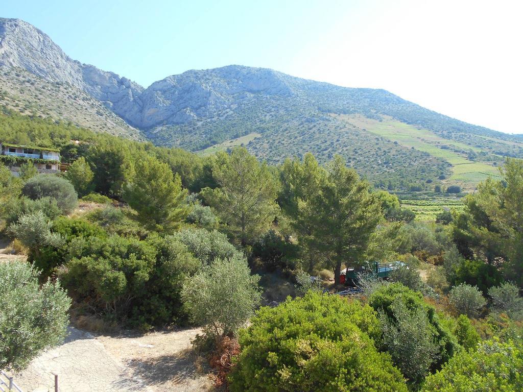 Dunja Hvar * Ivan Dolac