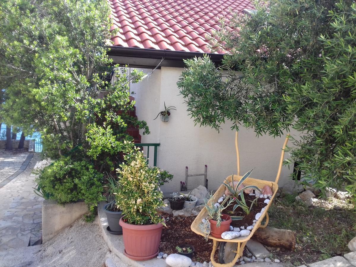 Dunja Hvar