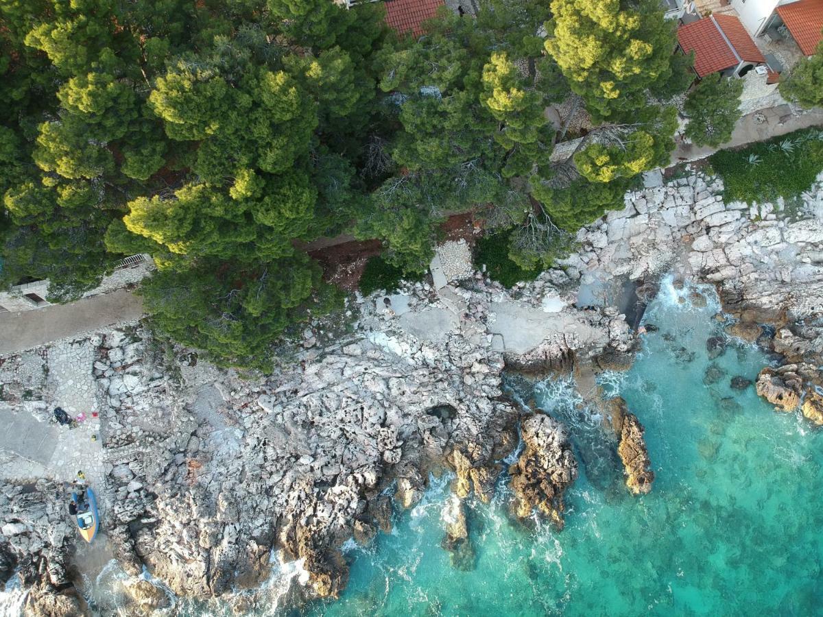 Dunja Hvar